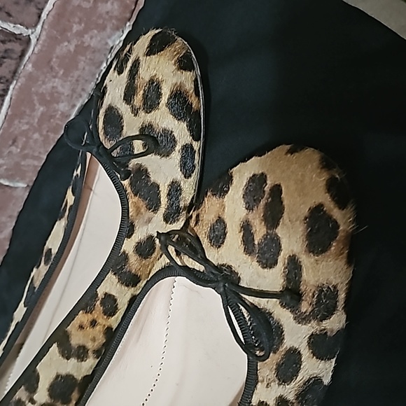 Flats - Picture 3 of 5